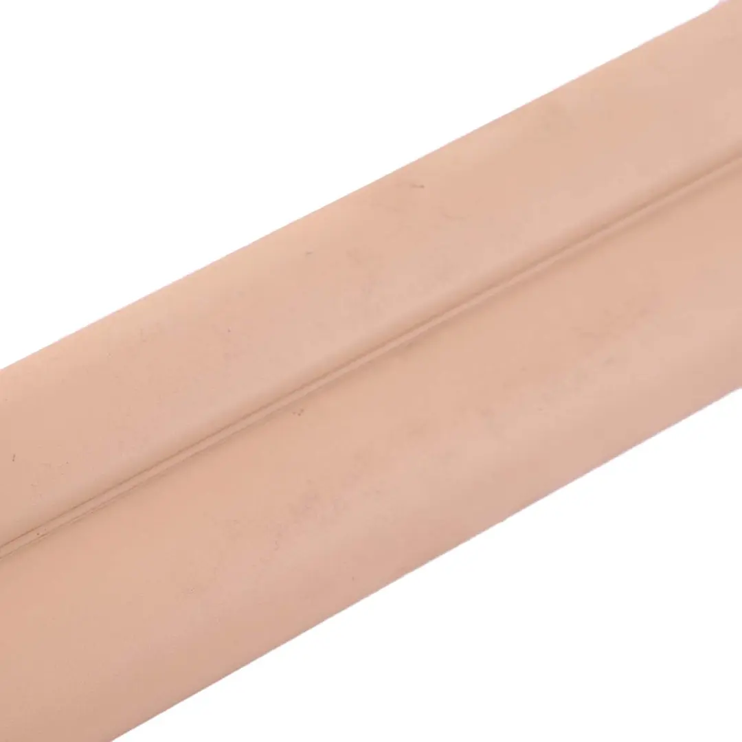 Trim Strip Entrance Front Left N/S Sand Beige to BMW X3 E83 LCI Cover with Part number 3416361 BMW X3 E83 LCI Cover Trim Strip Entrance Front Left N/S Sand Beige - SKU 3416361 - Part number 3416361