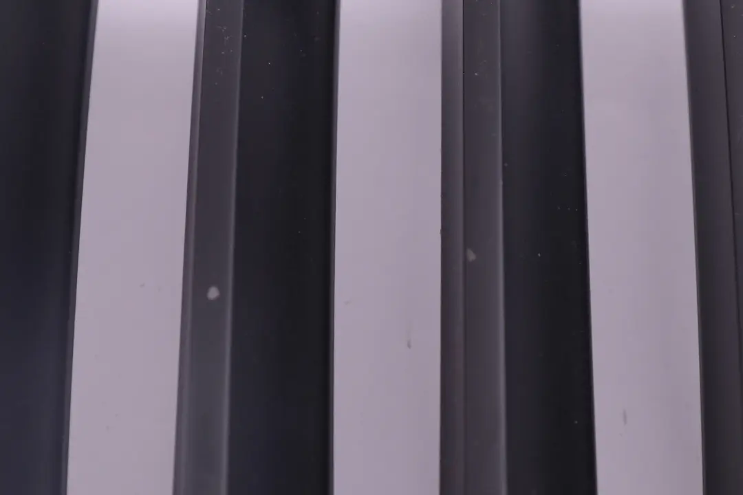 Rejilla Central Parachoques Delantero Izquierdo Cromada para BMW X3 E83 LCI con número de pieza 3420087 BMW X3 E83 LCI Rejilla Central Parachoques Delantero Izquierdo Cromada - SKU 3420087 - Número de pieza 3420087