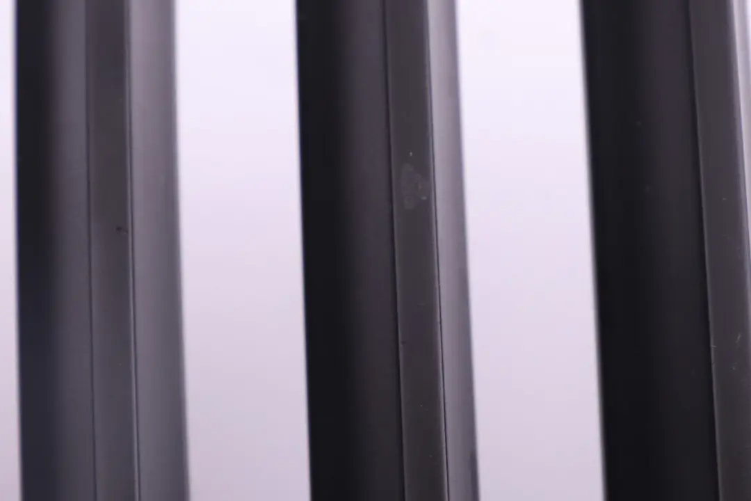 parachoques delantero rejilla central ri?on derecho cromo para BMW E83 LCI con número de pieza 3420088 BMW E83 LCI parachoques delantero rejilla central ri?on derecho cromo - SKU 3420088 - Número de pieza 3420088