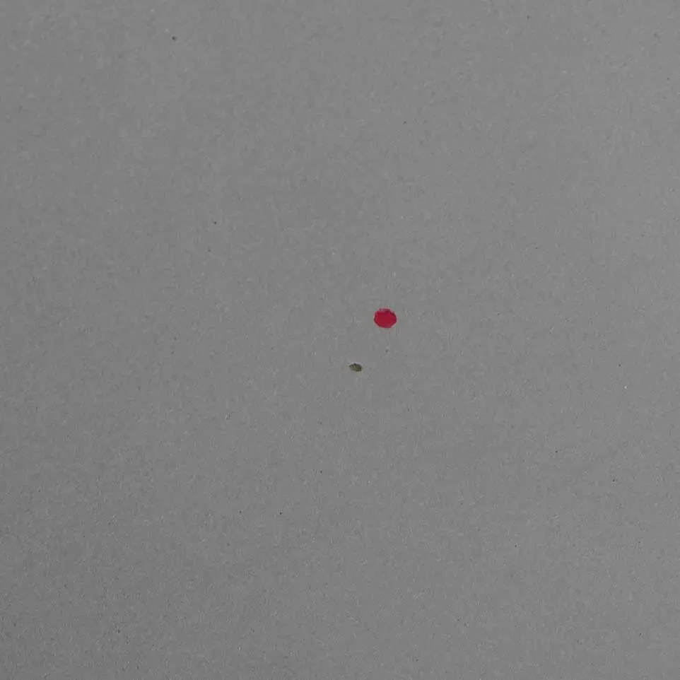 BMW X3 E83 Maska Pokrywa Silnika Titansilber 354 - SKU 3449411-TS2 - Numer Części 3449411