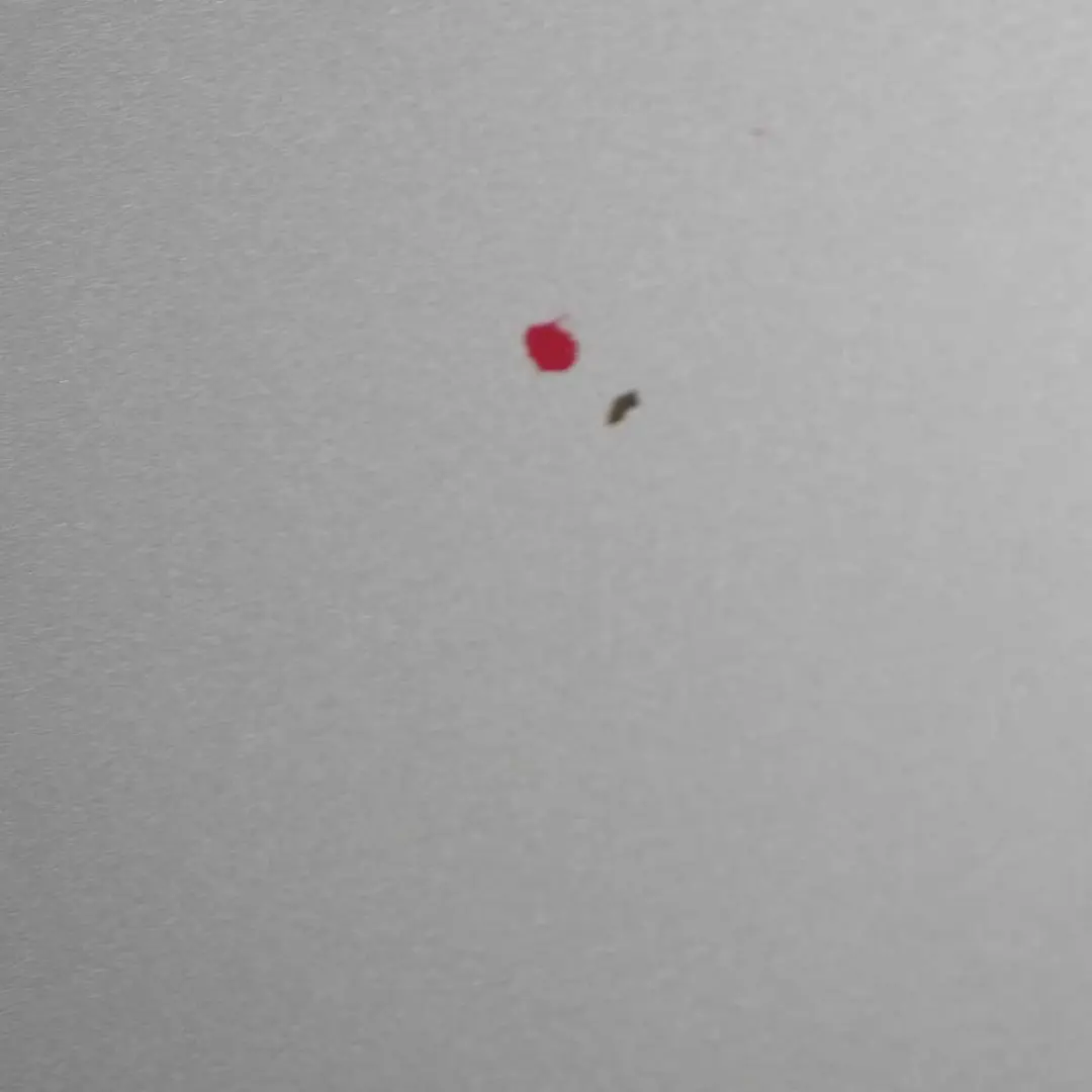 BMW X3 E83 Maska Pokrywa Silnika Titansilber 354 - SKU 3449411-TS4 - Numer Części 3449411