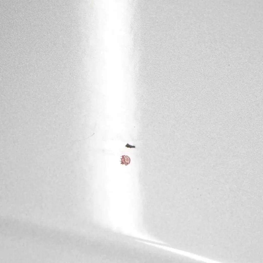 BMW X3 E83 Maska Pokrywa Silnika Titansilber 354 - SKU 3449411-TS4 - Numer Części 3449411