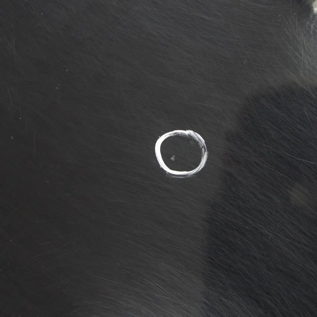 Door Front Right O/S BMW X3 E83 Schwarz 2 Black - 668 to with Part number 3451016 Door Front Right O/S BMW X3 E83 Schwarz 2 Black - 668 - SKU 3451016-SCH - Part number 3451016