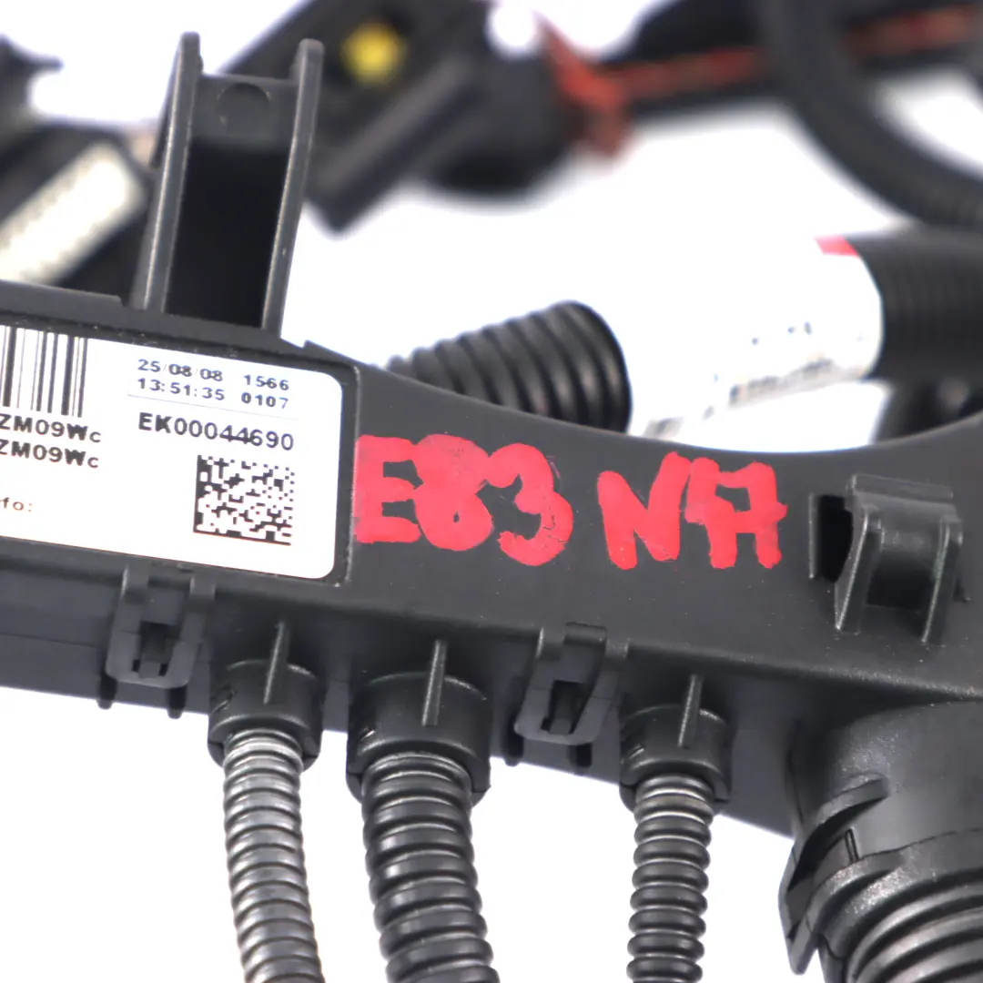 N47 Mazo de cables del motor 3452220 para BMW X3 E83 1.8d 2.0d con número de pieza 3452217 BMW X3 E83 1.8d 2.0d N47 Mazo de cables del motor 3452220 - SKU 3452217 - Número de pieza 3452217