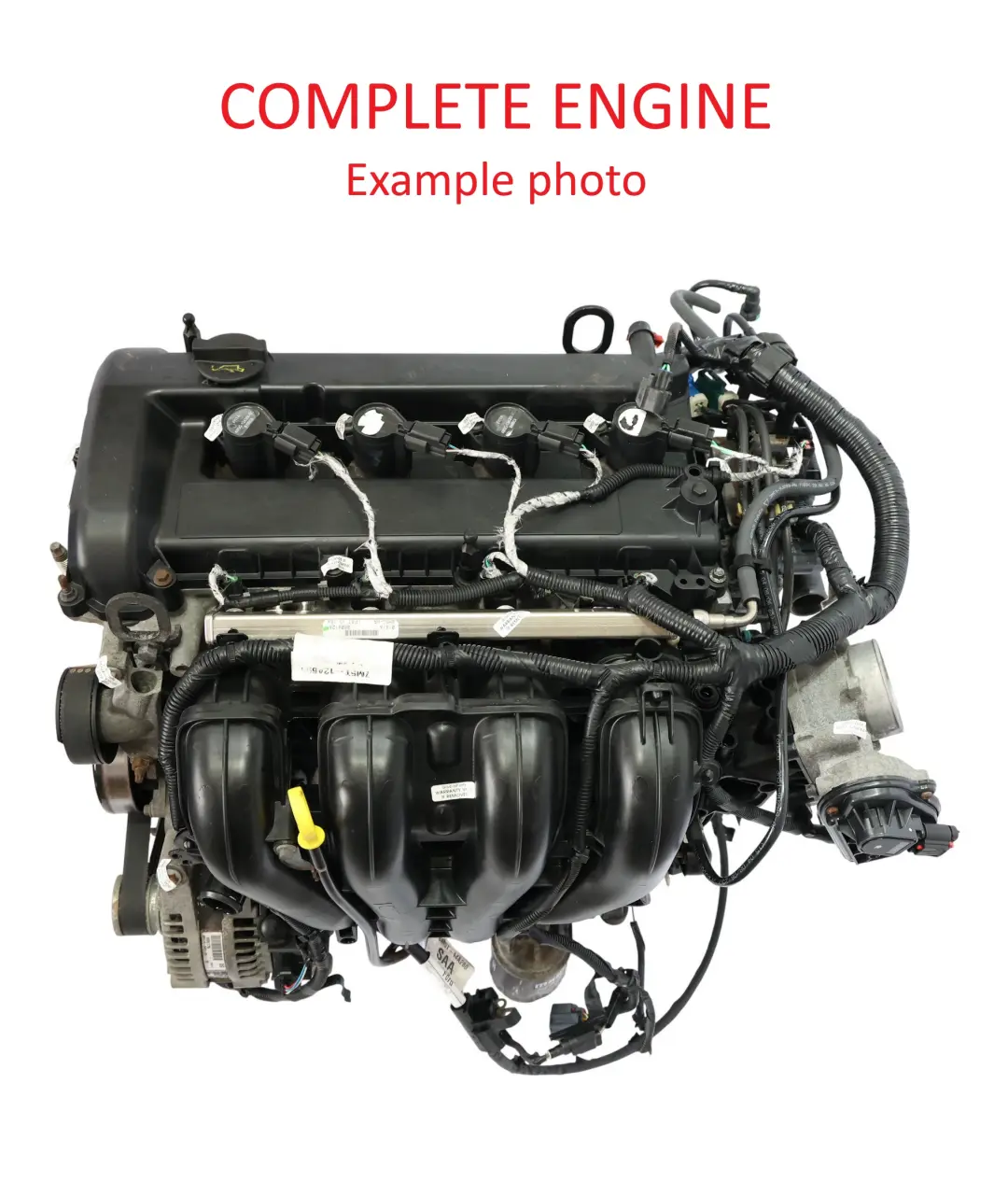 MK2 C-Max Bare Engine AODA AODB 2.0 Petrol 145HP 99k miles, WARRANTY to Ford Focus with Part number 4M5G-6006-SD Ford Focus MK2 C-Max Bare Engine AODA AODB 2.0 Petrol 145HP 99k miles, WARRANTY - SKU 4M5G-6006-SD - Part number 4M5G-6006-SD