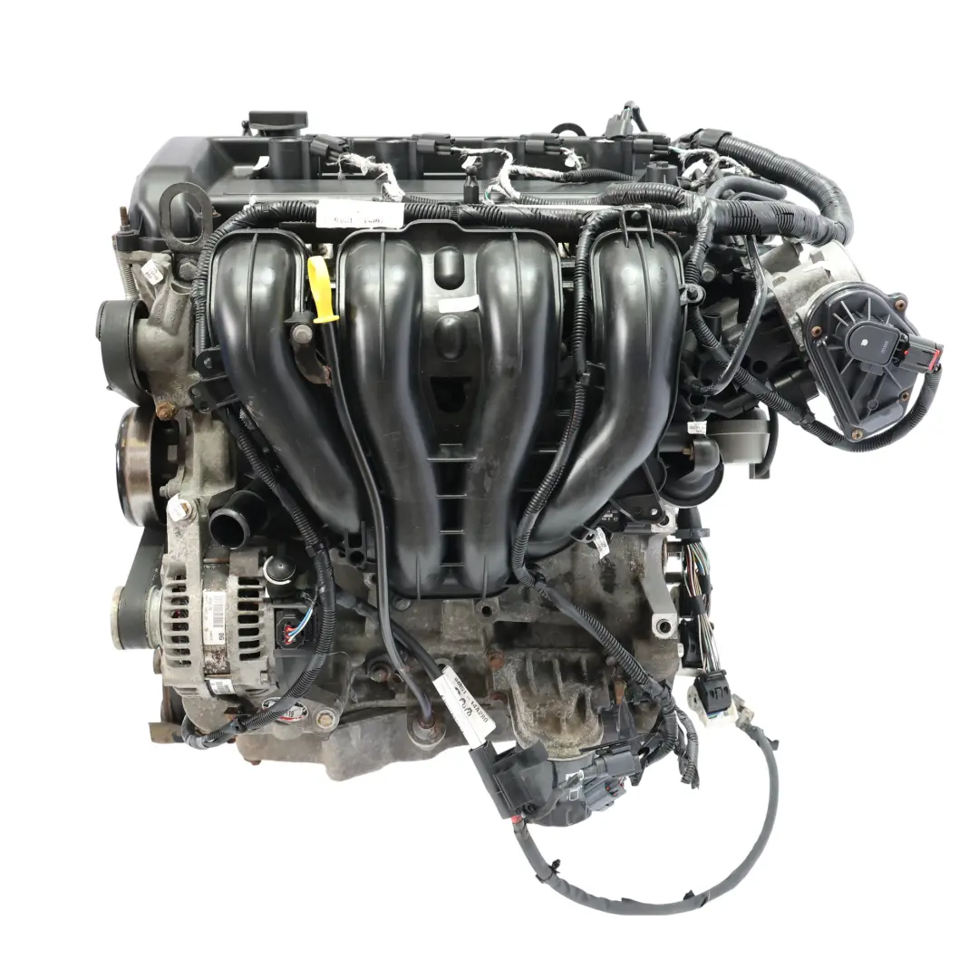 Ford Focus MK2 C-Max Kompletter Motor AODA AODB 2.0 145PS 159TKM, GARANTIE - SKU 4M5G-6006-SD-1 - Teilenummer 4M5G-6006-SD