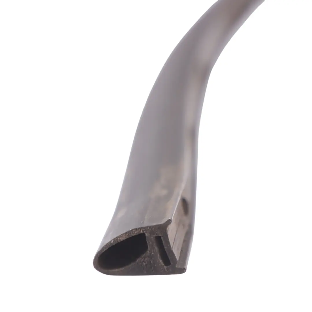 Sello inferior puerta goma trasera izquierda para Volkswagen Golf SV con número de pieza 510839699D Volkswagen Golf SV Sello inferior puerta goma trasera izquierda - SKU 510839699D - Número de pieza 510839699D