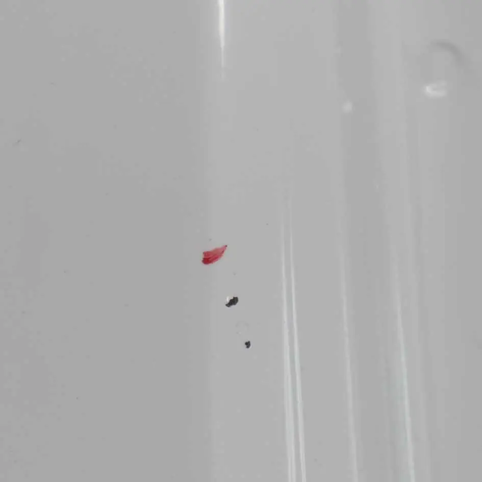 Couvercle de porte avant droite Shell Frozen White - Z2 pour Ford Transit Connect à propos du numéro de pièce 5147241 Ford Transit Connect Couvercle de porte avant droite Shell Frozen White - Z2 - SKU 5147241-FW - Numéro de pièce 5147241