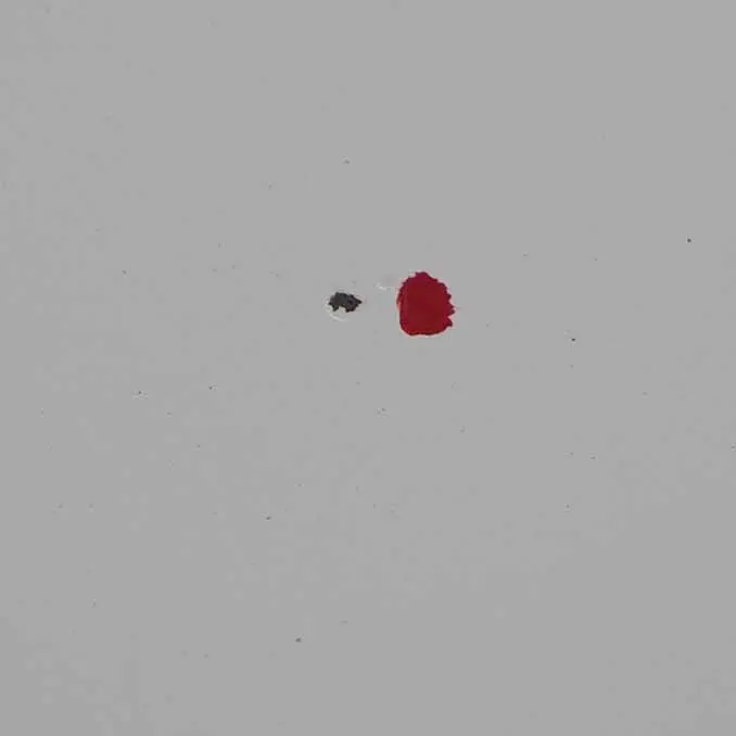 Motorhaube Motorhaube Trim Abdeckung Panel Frozen White - Z2 für Ford Transit mit Teilenummer 5149226 Ford Transit Motorhaube Motorhaube Trim Abdeckung Panel Frozen White - Z2 - SKU 5149226-FW - Teilenummer 5149226