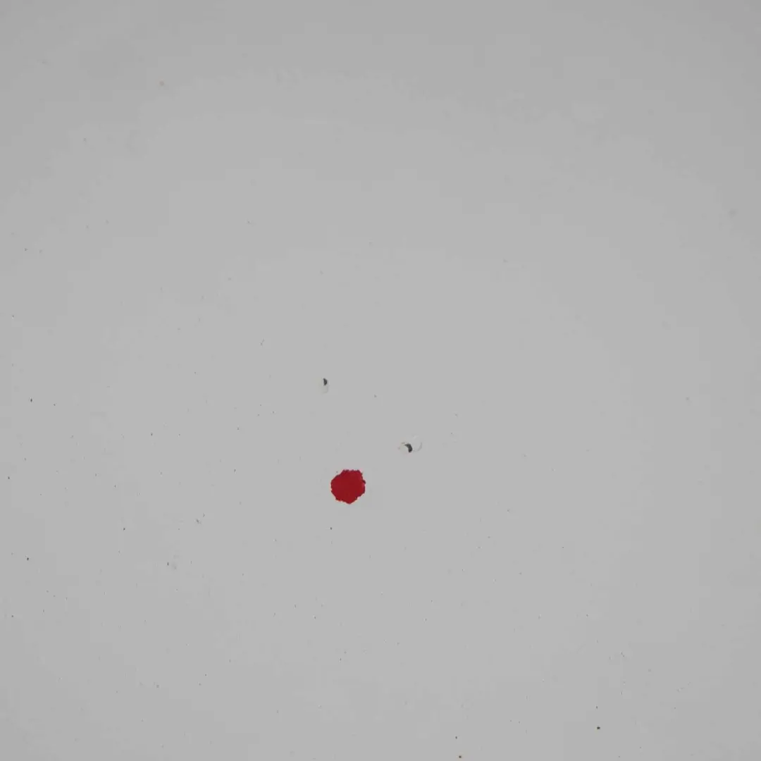 Maska Pokrywa Silnika Frozen White Z2 do Ford Transit o numerze 5149226 Ford Transit Maska Pokrywa Silnika Frozen White Z2 - SKU 5149226-FW - Numer Części 5149226