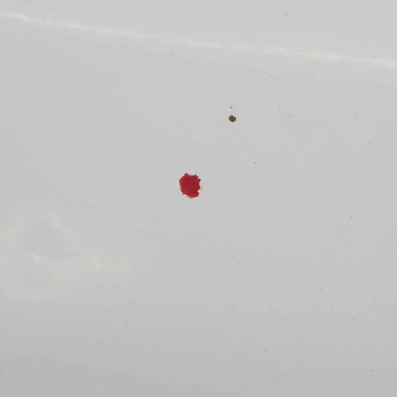 Capó Panel Cubre Capó Frozen White - Z2 para Ford Transit con número de pieza 5149226 Ford Transit Capó Panel Cubre Capó Frozen White - Z2 - SKU 5149226-FW - Número de pieza 5149226