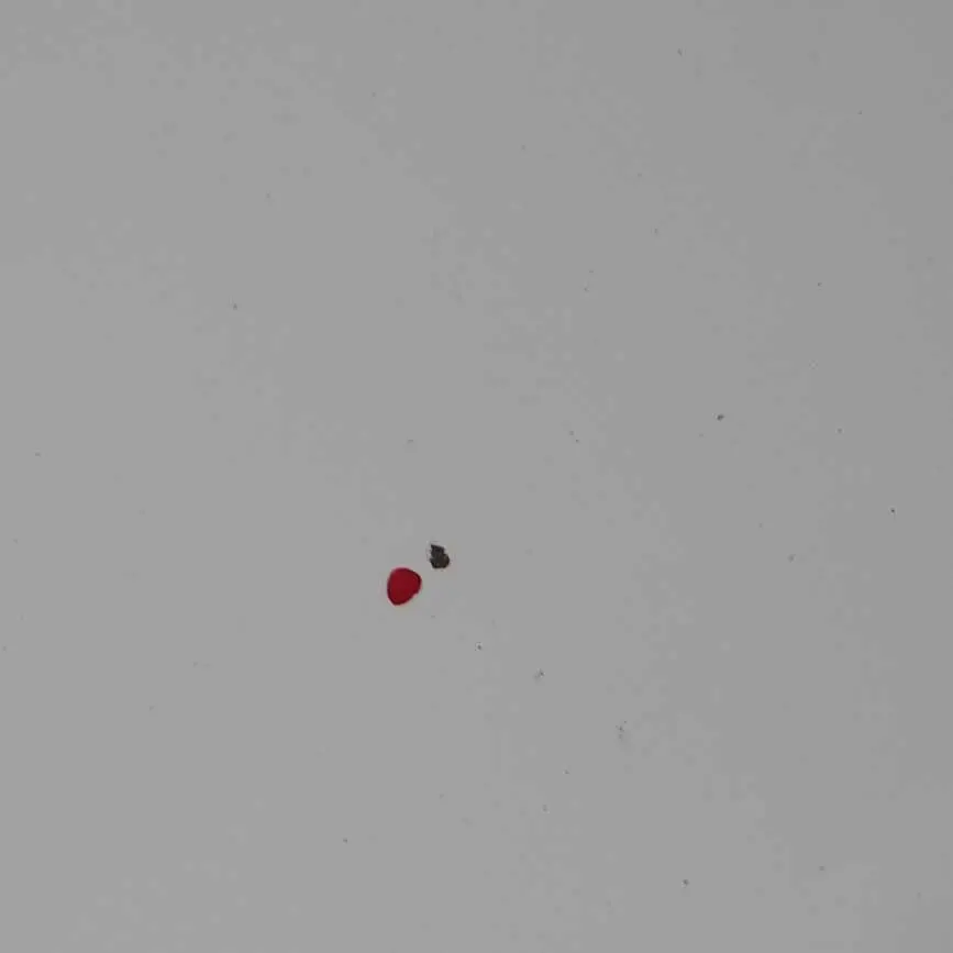 Mk3 Hood Bonnet Covering Panel Trim Ice White - 389 to Renault Trafic with Part number 651001855R Renault Trafic Mk3 Hood Bonnet Covering Panel Trim Ice White - 389 - SKU 651001855R-ICW - Part number 651001855R