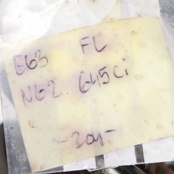 645Ci N62 Front Left N/S Suspension Wheel Hub Leg Brake Caliper Disc to BMW E63 with Part number 6766771 BMW E63 645Ci N62 Front Left N/S Suspension Wheel Hub Leg Brake Caliper Disc - SKU 6766771-1 - Part number 6766771