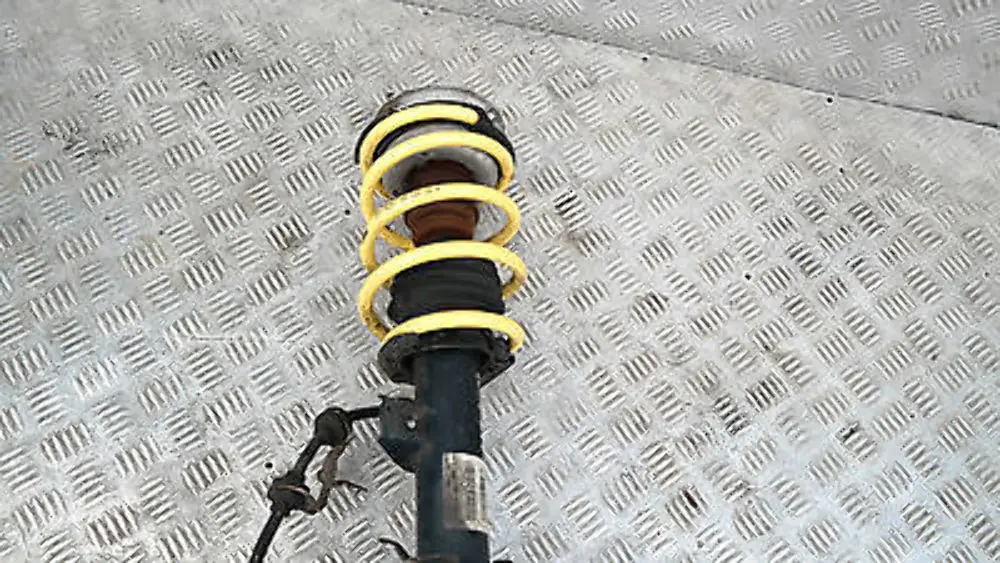 BMW E87N 116i Anteriore Sinistra N/S Molla Strut Freno Suspension Gamba - SKU 6786017-5 - Numero di parte 31316786017