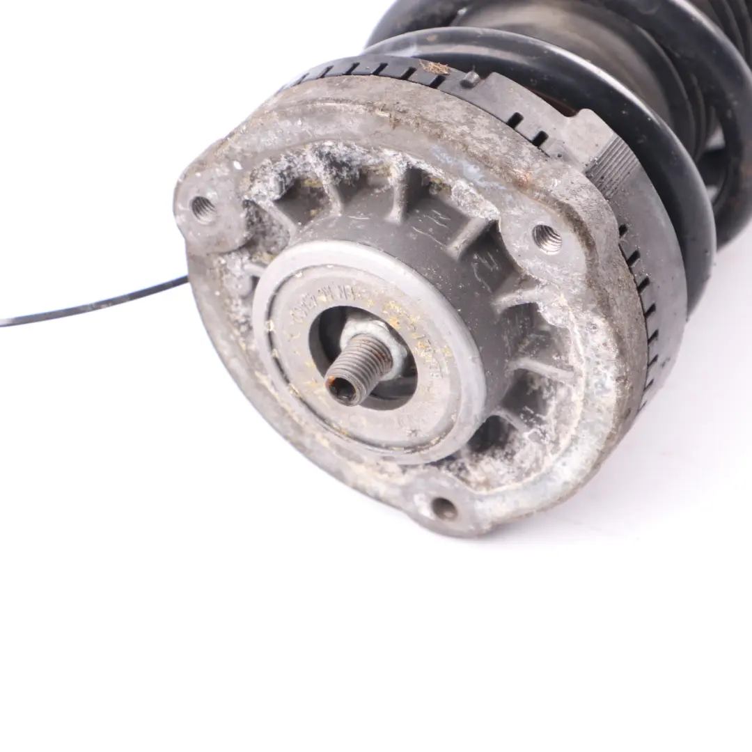 Anteriore Destro Molla Puntone Ammortizzatore per BMW F11 Touring M Sport con numero di parte 6789404 BMW F11 Touring M Sport Anteriore Destro Molla Puntone Ammortizzatore - SKU 6789404 - Numero di parte 6789404