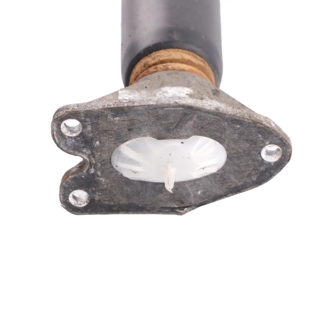 Spring Strut BMW F31 Touring Rear Left Right M Sport Shock Absorber - SKU 6791589 - Part number 6791589