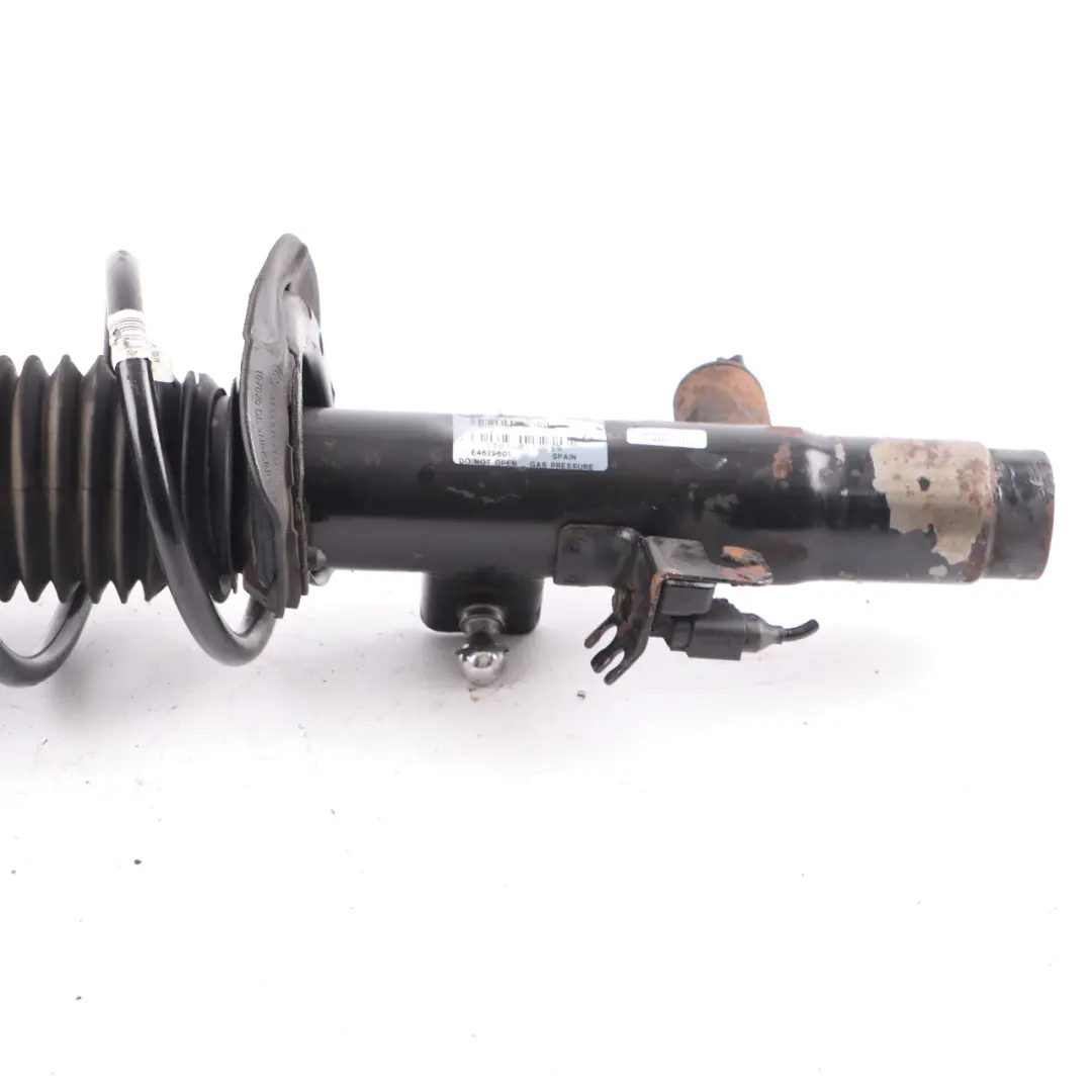 Strut BMW F31 Touring Front Shock Absorber Left N/S Spring Adaptive VDC to Spring with Part number 6793905 Spring Strut BMW F31 Touring Front Shock Absorber Left N/S Spring Adaptive VDC - SKU 6793905 - Part number 6793905