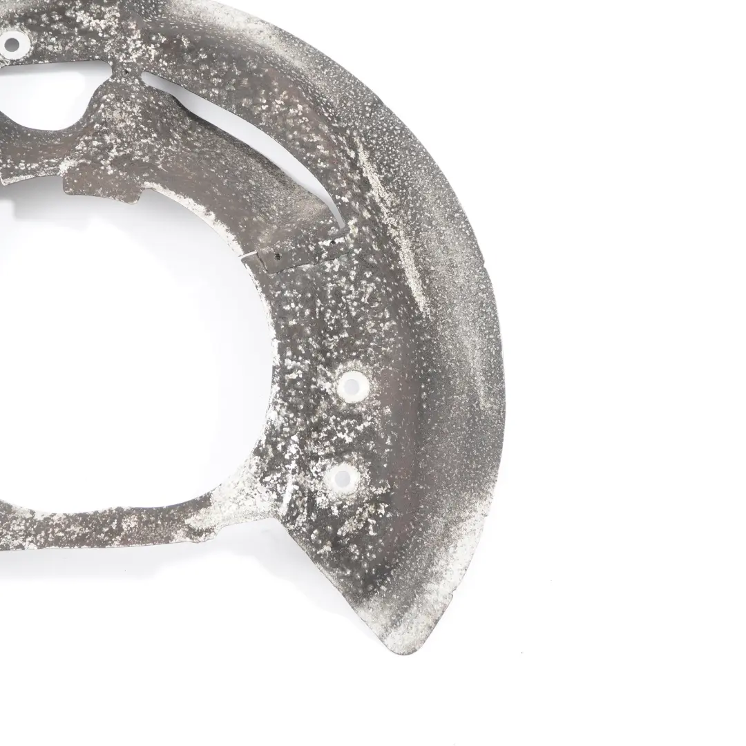 BMW X5 X6 E70 E71 Vorne Links Bremsscheibe Schutzblech Ankerblech - SKU 6857977 - Teilenummer 6857977