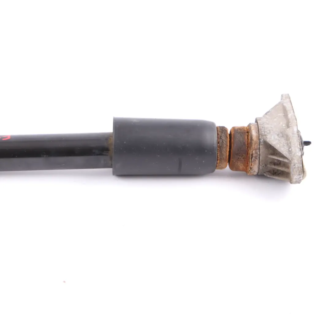 Amortiguador Trasero BMW F31 LCI F36 M Sport Shock Strut Izquierda Derecha para con número de pieza 6873825 Amortiguador Trasero BMW F31 LCI F36 M Sport Shock Strut Izquierda Derecha - SKU 6873825 - Número de pieza 6873825