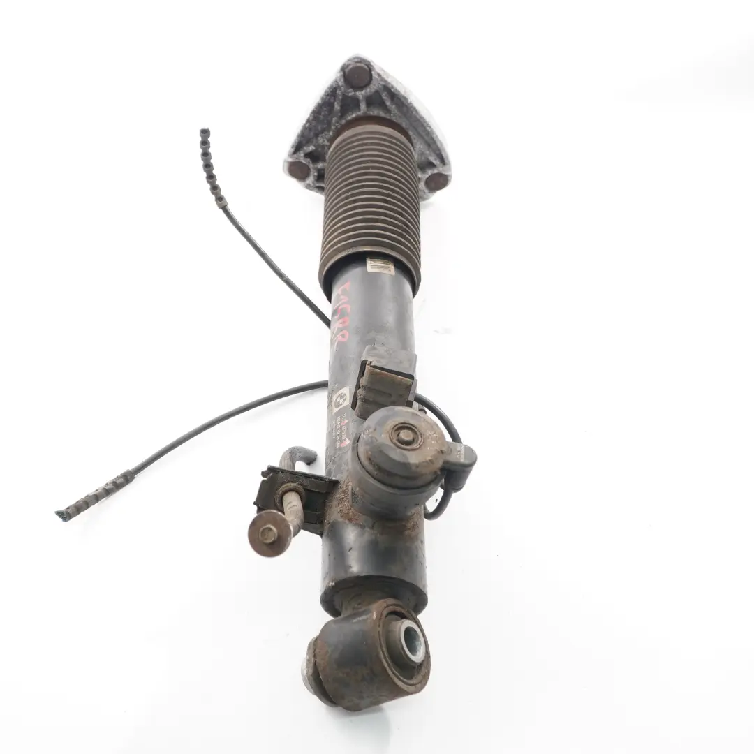 Puntone a molla Ammortizzatore Posteriore Destra per BMW X5 F15 con numero di parte 6875088 BMW X5 F15 Puntone a molla Ammortizzatore Posteriore Destra - SKU 6875088 - Numero di parte 6875088