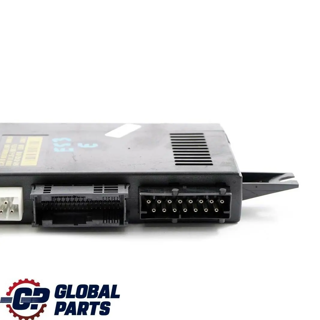 BMW X5 Series E53 Light Check Module Control Unit ECU Lear LCM III - SKU 6905875 - Part number 6905875