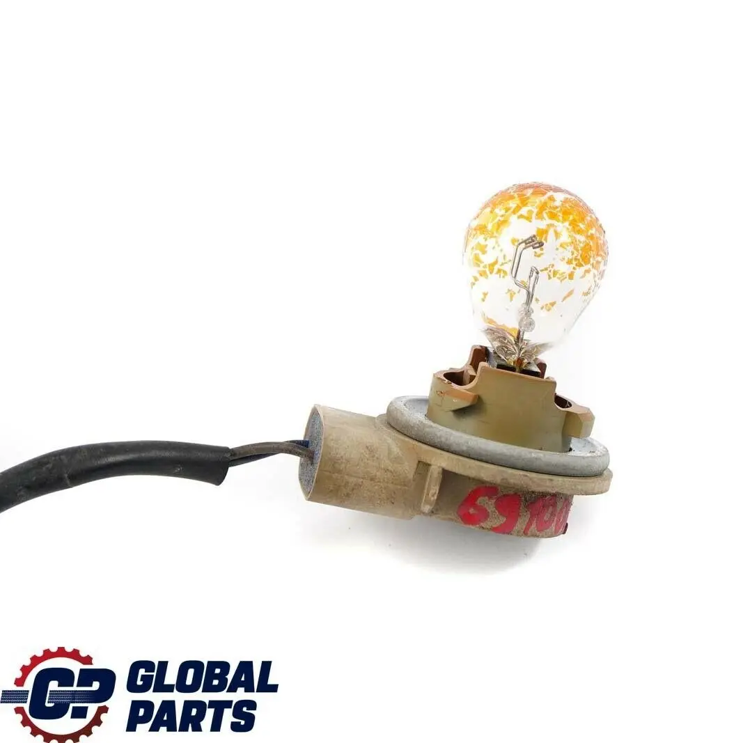 BMW X5 er E53 Xenon Lampenfassung Blinkleuchte mit Kabel 6933362 - SKU 6910081 - Teilenummer 6910081