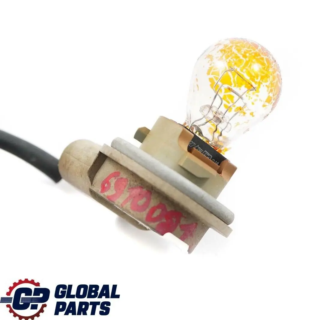 BMW X5 er E53 Xenon Lampenfassung Blinkleuchte mit Kabel 6933362 - SKU 6910081 - Teilenummer 6910081