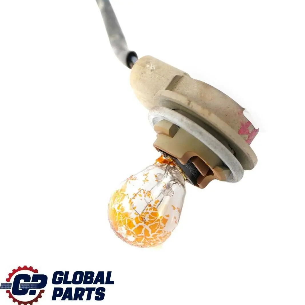 BMW X5 E53 Xenon Socket Lampada Indicatore con Cavo 6933362 - SKU 6910081 - Numero di parte 6910081