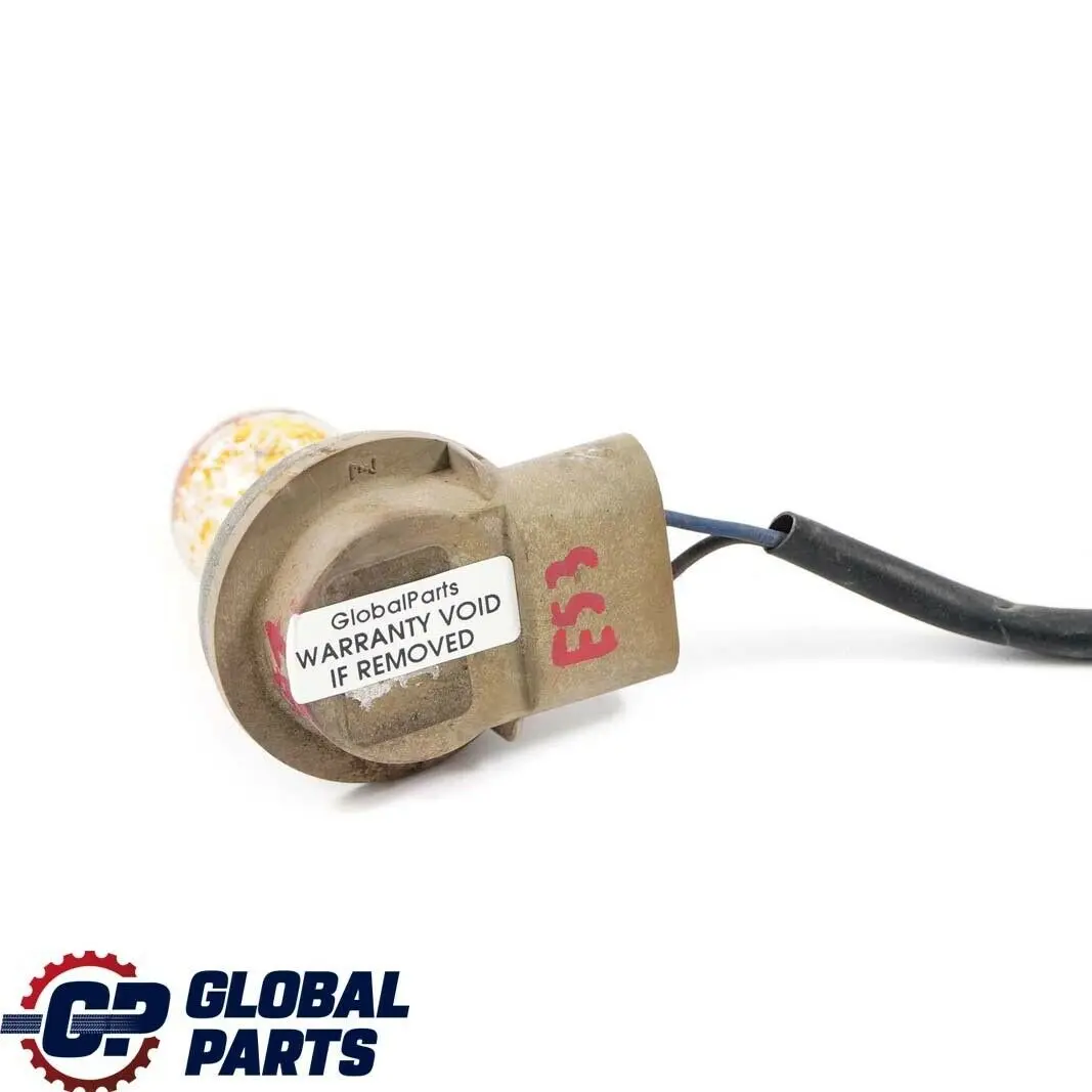BMW X5 er E53 Xenon Lampenfassung Blinkleuchte mit Kabel 6933362 - SKU 6910081 - Teilenummer 6910081