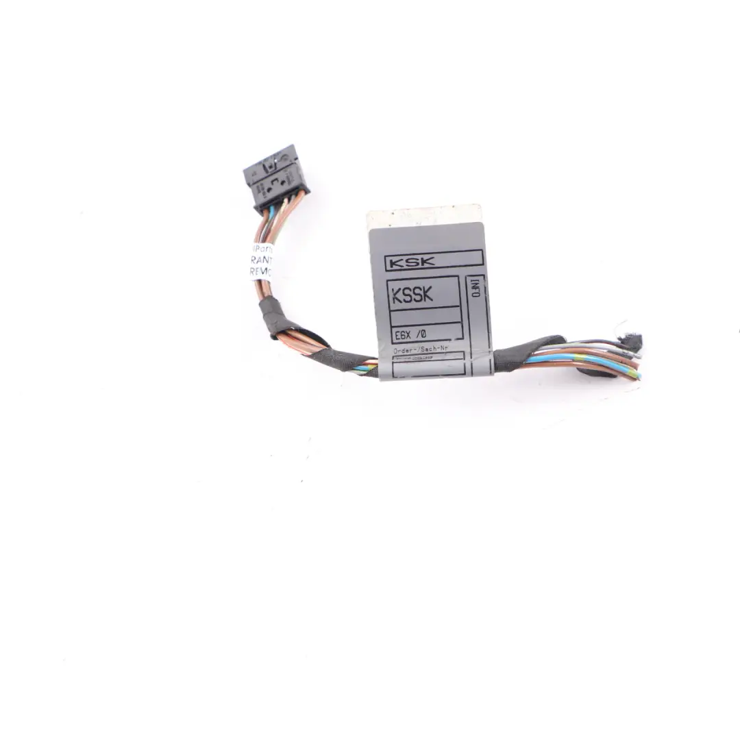 BMW E63 E64 Enchufe Cableado De La Luz Del Portón Trasero Izquierdo 6909052 - SKU 6911891-2 - Número de pieza 6911891