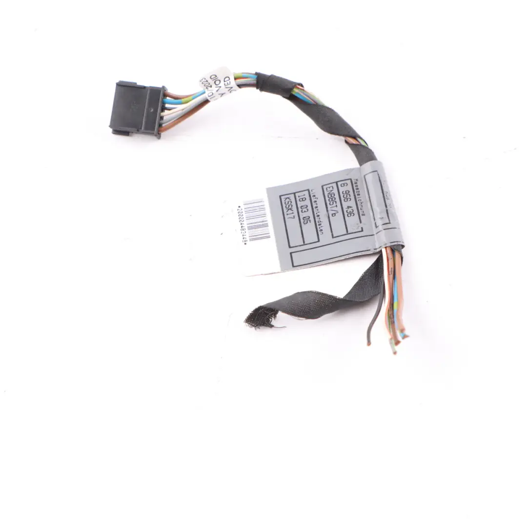 BMW E63 E64 Stecker Buchse Hinten Links Kofferraumdeckel Verkabelung 6909052 - SKU 6911891-2 - Teilenummer 6911891