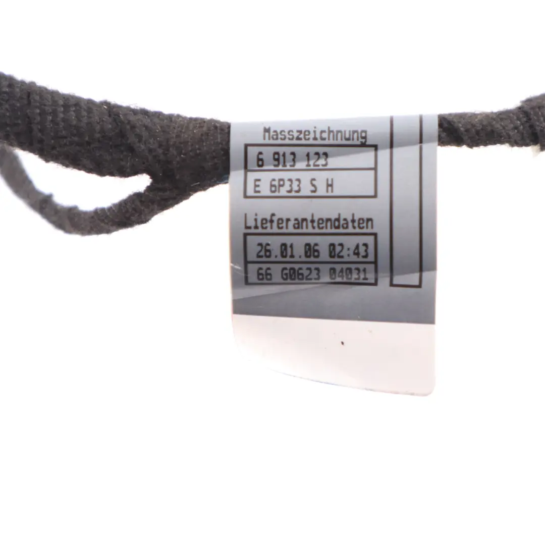 BMW E65 Türverkabelung Vorne Fahrertür Kabelbaum - SKU 6913129 - Teilenummer 6913129