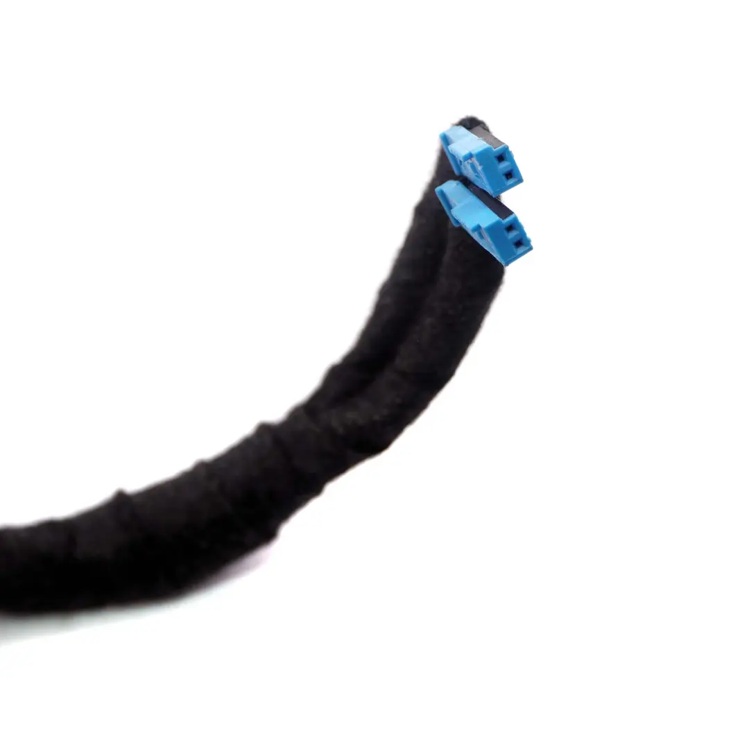 BMW 7 er E65 E66 Türkabelbaum Kabel Funktionsträger Vorne Links - SKU 6913132 - Teilenummer 6913132