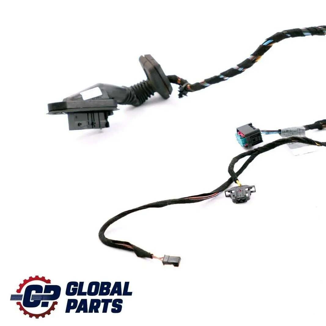 BMW X5 Series E53 Rear Left Right Door N/O/S Wiring Cables Harness Loom - SKU 6913729 - Part number 6913729