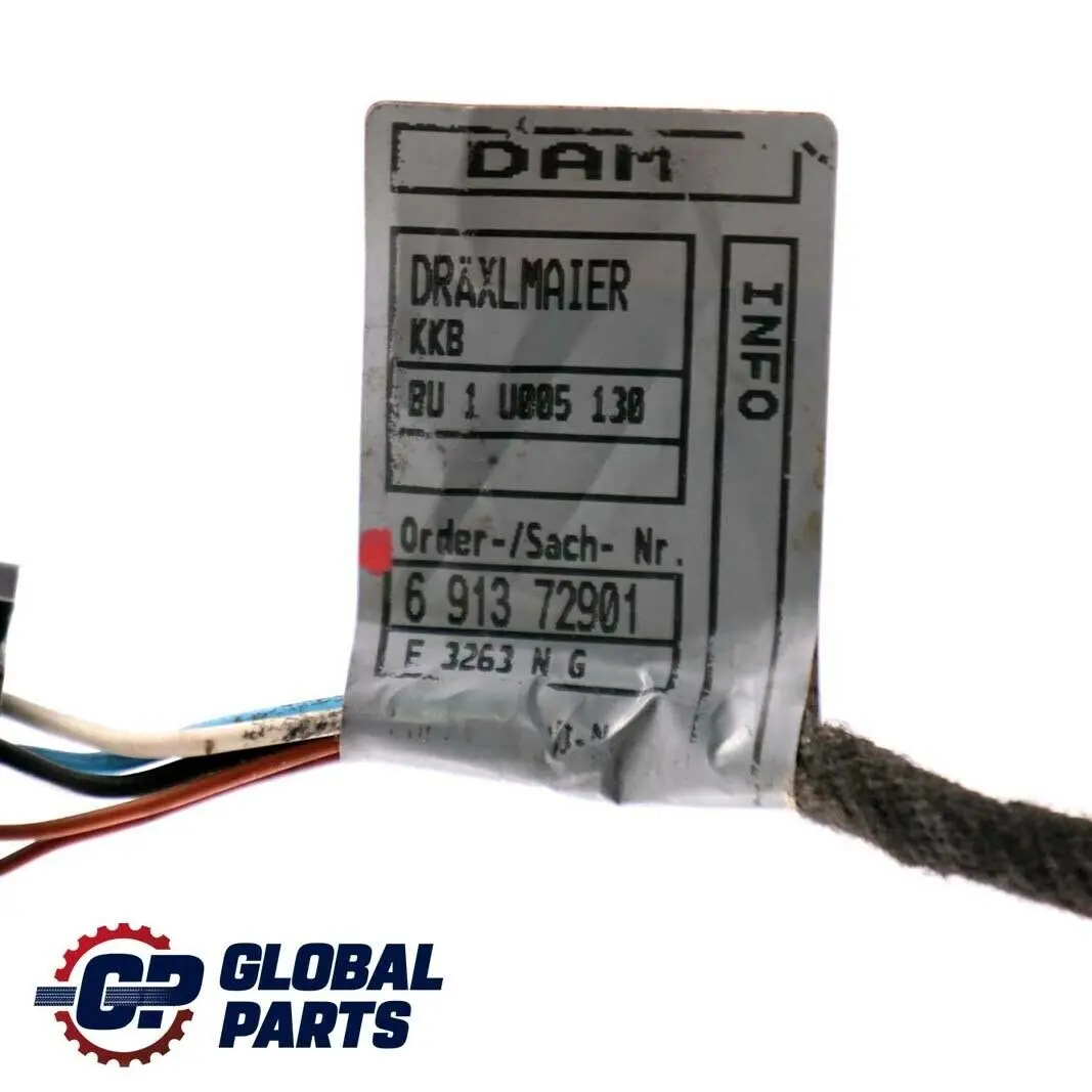 BMW X5 E53 Puerta Trasera Izquierda Derecha N/ Cableado Cables Mazo - SKU 6913729 - Número de pieza 6913729
