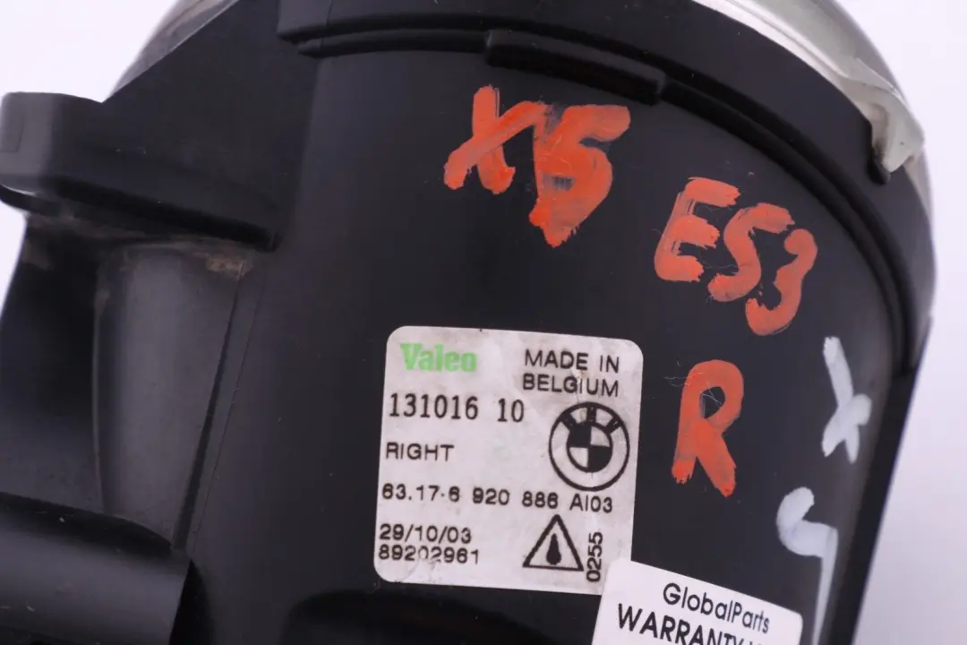 Reihe E53 Nebelscheinwerfer rechts 6317 für BMW X5 mit Teilenummer 6920886 BMW X5 Reihe E53 Nebelscheinwerfer rechts 6317 - SKU 6920886 - Teilenummer 6920886