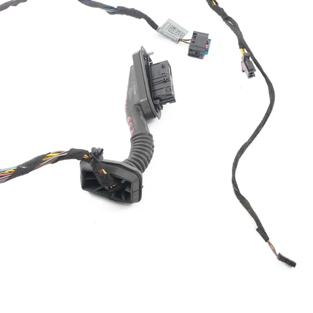 BMW X5 E53 Przewód Wiązka Drzwi Tylnych - SKU 6923514 - Numer Części 6923514