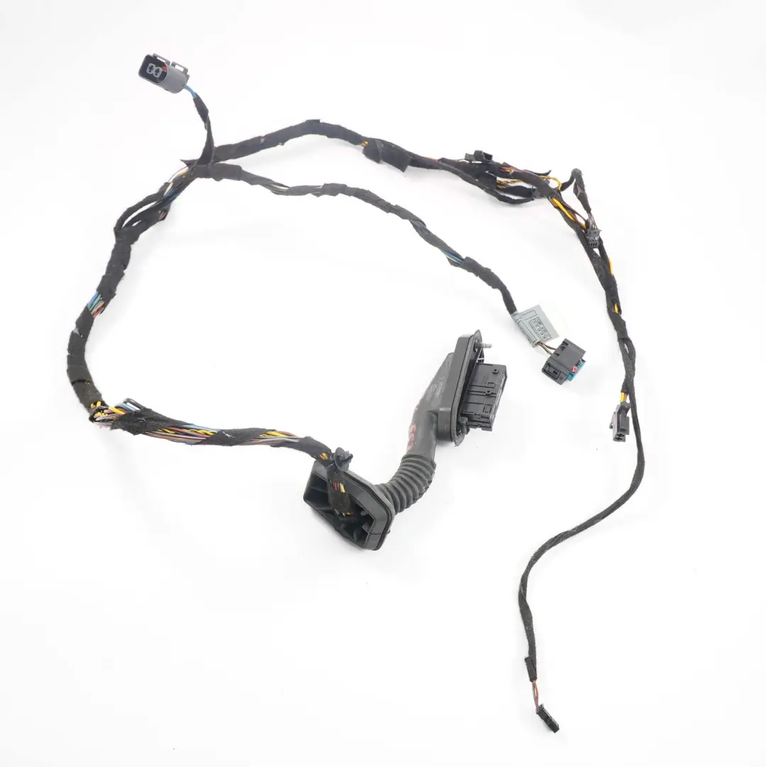  *BMW X5 er E53 Kabelbaum Kabel Tür Hinten Links Rechts 6923513 - SKU 6923514 - Teilenummer 6923514
