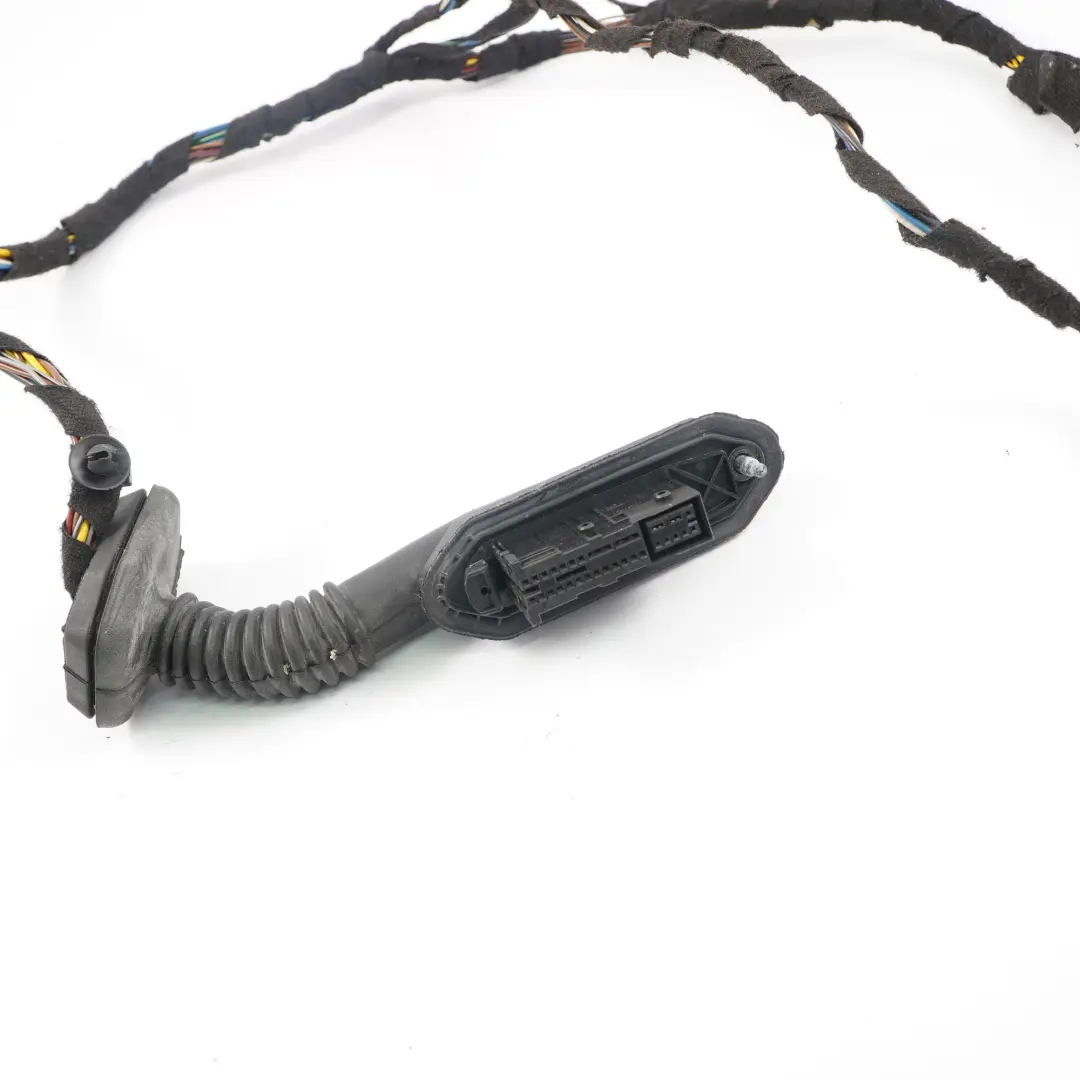 Kabelbaum Tür Hinten Kabelbaum 6923513 für BMW X5 E53 mit Teilenummer 6923514 BMW X5 E53 Kabelbaum Tür Hinten Kabelbaum 6923513 - SKU 6923514 - Teilenummer 6923514