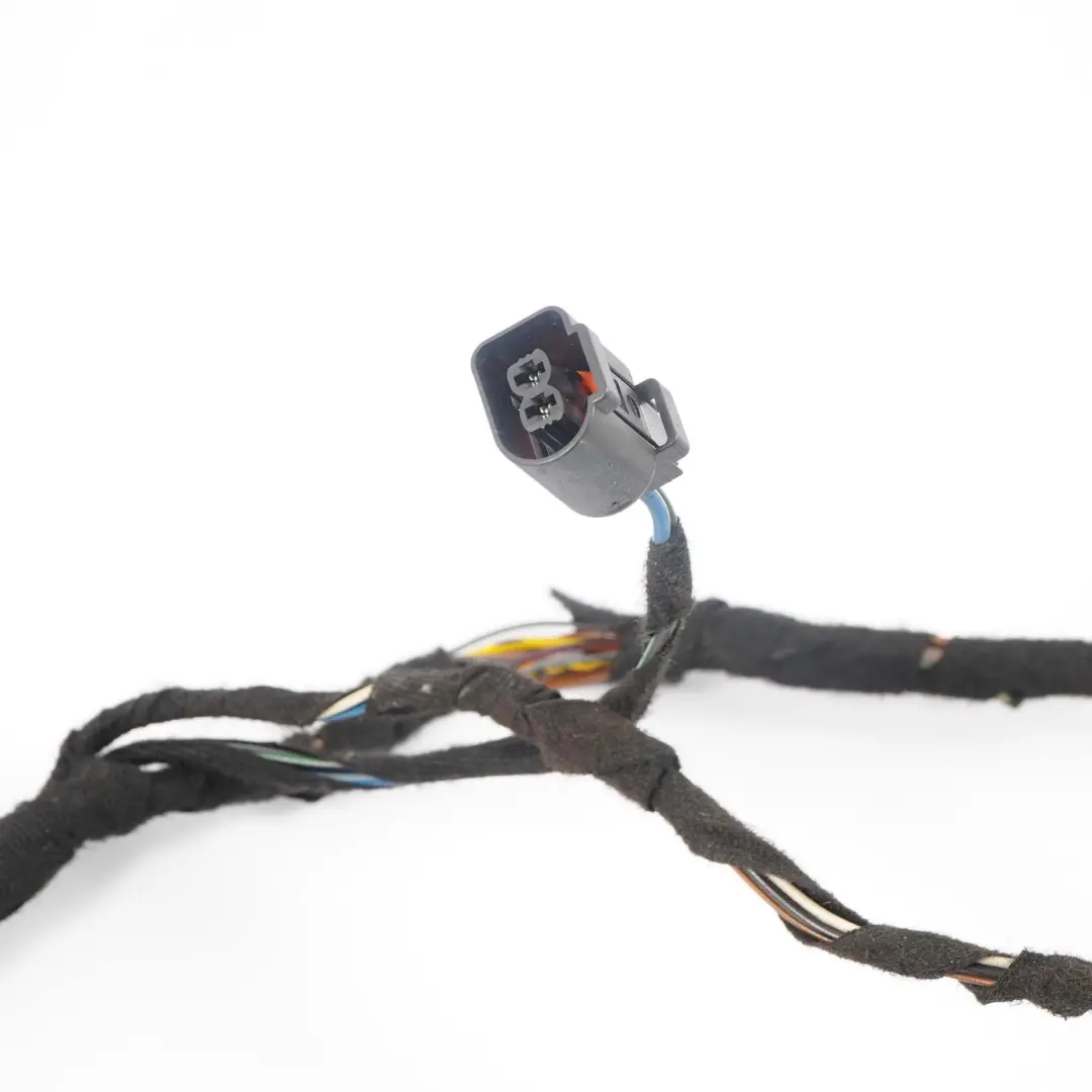 BMW X5 E53 Przewód Wiązka Drzwi Tylnych - SKU 6923514 - Numer Części 6923514