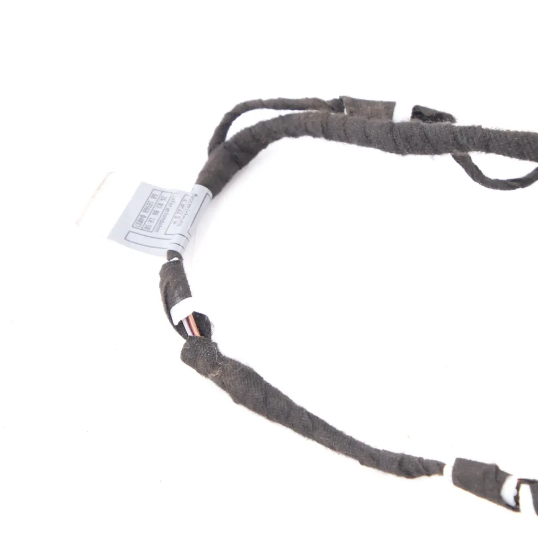 BMW E65 E66 Tür Verkabelung Kabelbaum Beifahrer Tür Verkabelung 6913135 - SKU 6923697 - Teilenummer 6923697