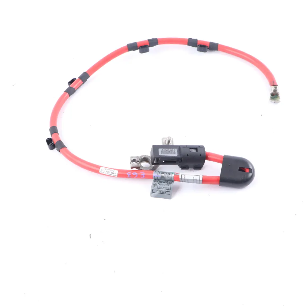 Battery Cable BMW E63 E64 Positive Plus Pole Lead Terminal Wiring - SKU 6928990-4 - Part number 6928990
