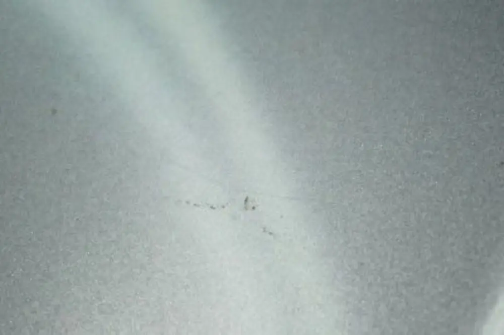 Leergehäuse Gehäuse Dachantenne Antenne Spacegrau Grau für BMW 5 er E61 mit Teilenummer 6929373 BMW 5 er E61 Leergehäuse Gehäuse Dachantenne Antenne Spacegrau Grau - SKU 6929373-SBG - Teilenummer 6929373