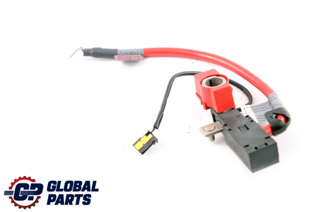 BMW Serie 1 E87 Cable de la batería de alambre más polo positivo - SKU 6929707-1 - Número de pieza 6929707