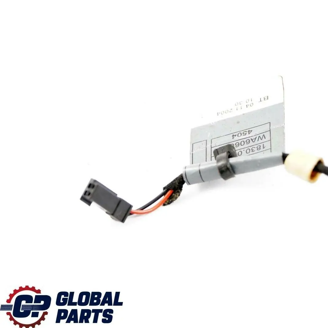 BMW E81 E87 Maniglia Porta LED Cablaggio Anteriore Posteriore Destro 6933278 - SKU 6933278-1 - Numero di parte 63316933278
