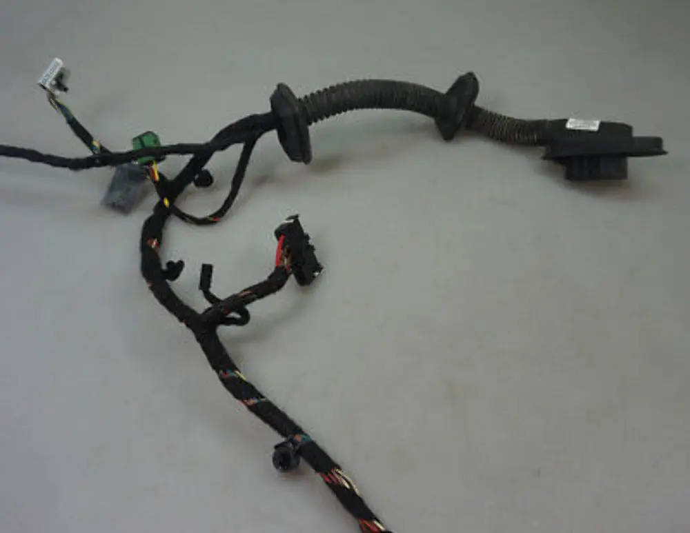 BMW 7 SERIES E65 E66 Door Wiring Harness Mod Carrier Front Left N/S - SKU 6934002 - Part number 6934002