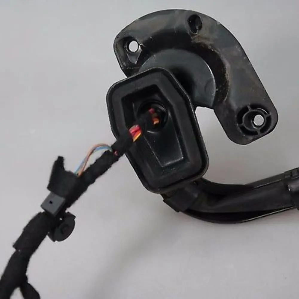 BMW E65 E66 Vordere Rechte Tür Kabelbaum Träger - SKU 6950364 - Teilenummer 6950344