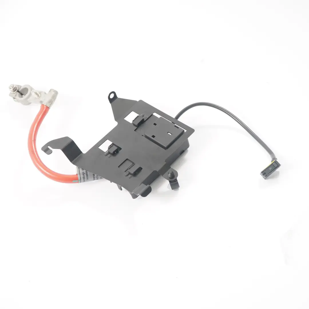 BMW Z4 E85 Pince de batterie positive Boîte à fusibles Câble - SKU 6958138-1 - Numéro de pièce 6958138