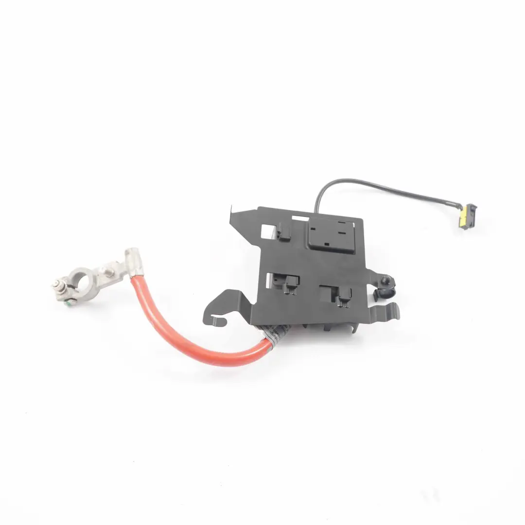 BMW Z4 e85 Positive Batterieklemme Sicherungskasten Kabel - SKU 6958138-1 - Teilenummer 6958138