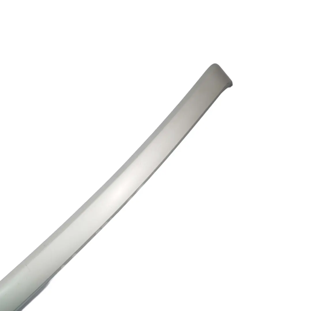 Barra Decorativa Porte Frontale Destra Titan II Chiaro per BMW E92 E93 con numero di parte 6958234 BMW E92 E93 Barra Decorativa Porte Frontale Destra Titan II Chiaro - SKU 6958234 - Numero di parte 6958234